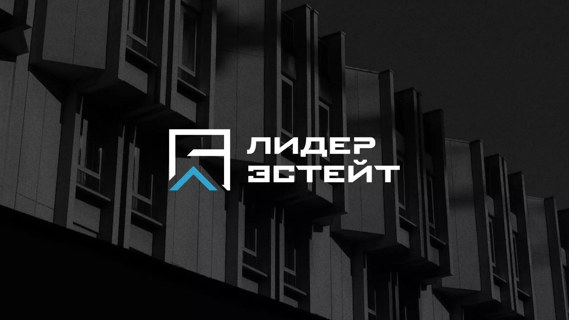 Разработка логотипа агентства недвижимости «Лидер Эстейт» в Михайлове